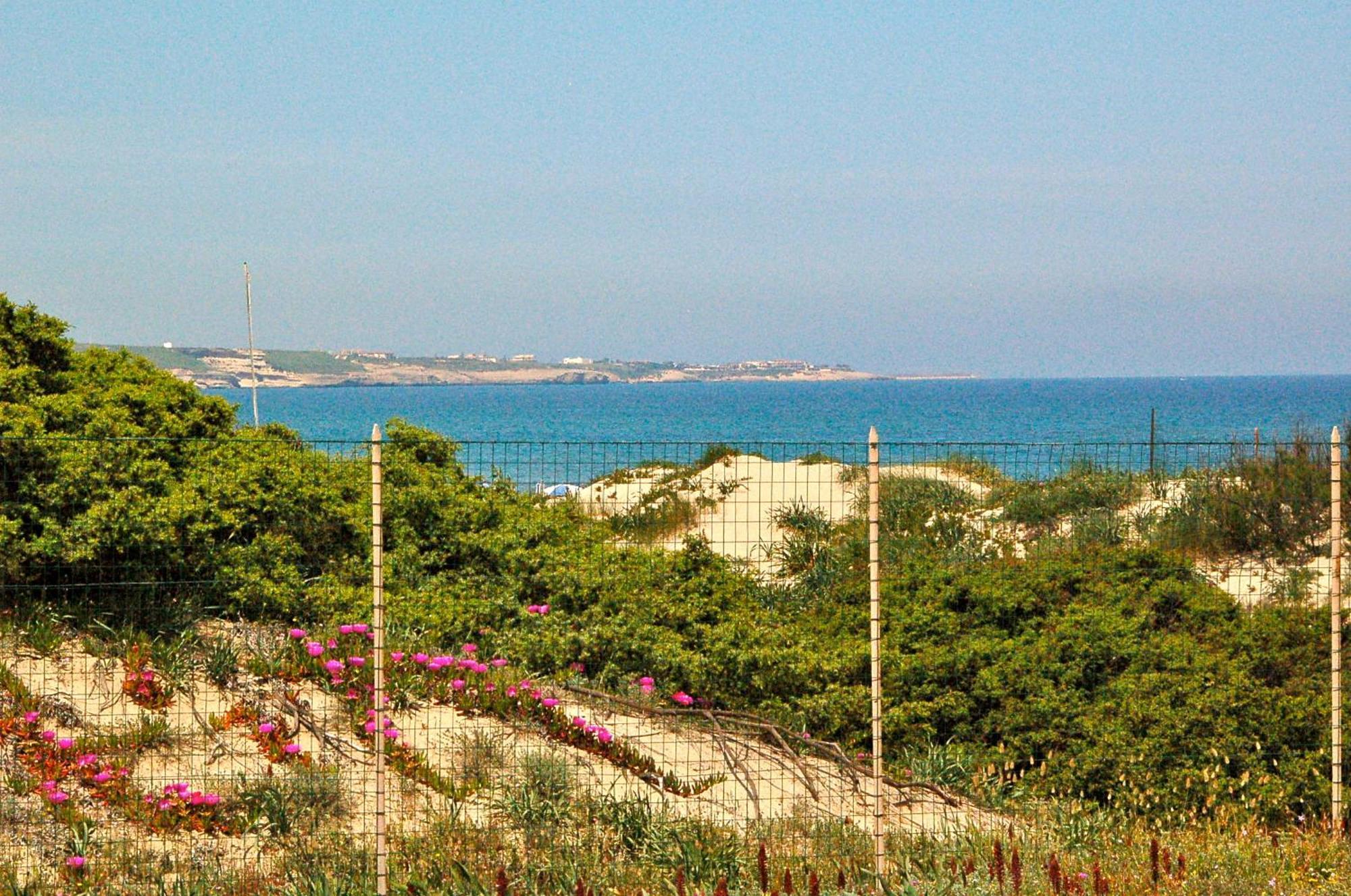 Camping Golfo Dell'Asinara Platamona Exterior foto